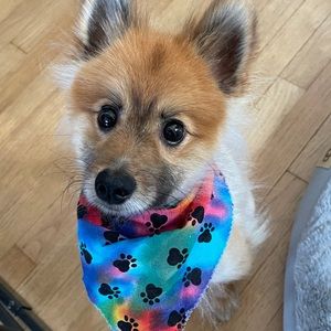 Meet your Posher, Gina